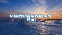 lol游戏id名字大全(lol个性id)