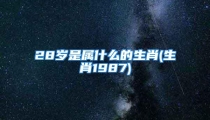 28岁是属什么的生肖(生肖1987)