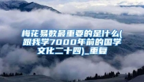 梅花易数最重要的是什么(跟我学7000年前的国学文化二十四)_重复