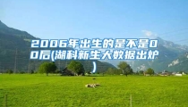 2006年出生的是不是00后(湖科新生大数据出炉)