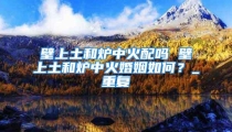 壁上土和炉中火配吗 壁上土和炉中火婚姻如何？_重复