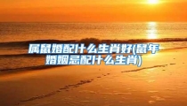 属鼠婚配什么生肖好(鼠年婚姻忌配什么生肖)