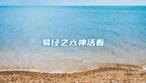 易经之六神活看