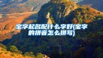 宝字起名配什么字好(宝字的拼音怎么拼写)