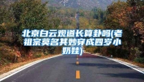北京白云观道长算卦吗(老祖宗莫名其妙穿成四岁小奶娃)
