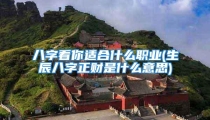 八字看你适合什么职业(生辰八字正财是什么意思)