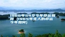 1966年54岁今年命运如何 (1965年生人的命运今年如何)