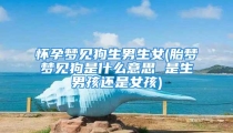 怀孕梦见狗生男生女(胎梦梦见狗是什么意思 是生男孩还是女孩)