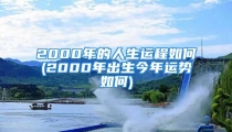 2000年的人生运程如何(2000年出生今年运势如何)