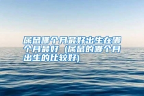 属鼠哪个月最好出生在哪个月最好 (属鼠的哪个月出生的比较好)