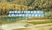 84年闰十月的女鼠是什么命(小神农架野茶重生记)