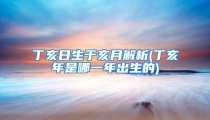 丁亥日生于亥月解析(丁亥年是哪一年出生的)