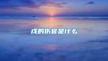 戊的伤官是什么