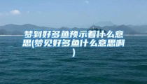 梦到好多鱼预示着什么意思(梦见好多鱼什么意思啊)