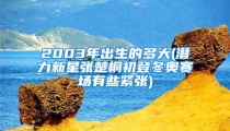 2003年出生的多大(潜力新星张楚桐初登冬奥赛场有些紧张)