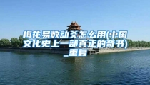 梅花易数动爻怎么用(中国文化史上一部真正的奇书)_重复