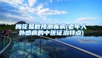 梅花易数预测疾病(老年人外感病的中医证治特点)