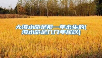 大海水命是那一年出生的(海水命是几几年属啥)