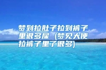 梦到拉肚子拉到裤子里很多屎 (梦见大便拉裤子里了很多)