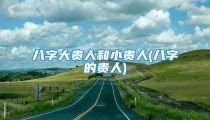 八字大贵人和小贵人(八字的贵人)