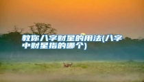 教你八字财星的用法(八字中财星指的哪个)