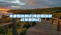 夫妻姻缘测试(情侣姻缘测试免费测试)