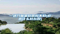 一进门就是厨房好不好(厨房什么灶台好)