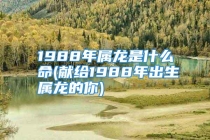 1988年属龙是什么命(献给1988年出生属龙的你)