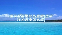 丞字起名是什么意思(丞字作为名字怎么样)