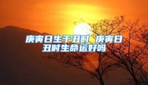庚寅日生于丑时 庚寅日丑时生命运好吗