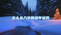怎么从八字算流年运势