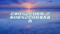 己未日与己巳日配吗 己未日柱与己巳日柱是否适合