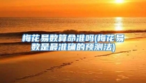 梅花易数算命准吗(梅花易数是最准确的预测法)