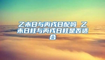 乙未日与丙戌日配吗 乙未日柱与丙戌日柱是否适合