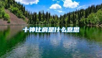 十神比肩是什么意思