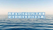 两条生命线福旺吗(手相事业线感情线生命线怎么看)