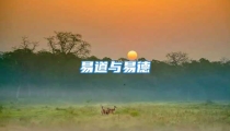 易道与易德