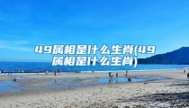 49属相是什么生肖(49属相是什么生肖)