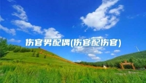 伤官男配偶(伤官配伤官)
