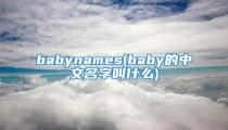 babynames(baby的中文名字叫什么)