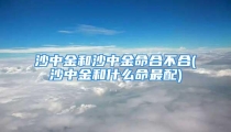 沙中金和沙中金命合不合(沙中金和什么命最配)