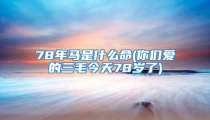 78年马是什么命(你们爱的三毛今天78岁了)