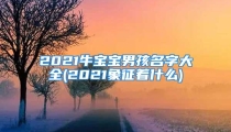 2021牛宝宝男孩名字大全(2021象征着什么)