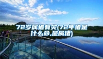 72岁属猪有灾(72年猪是什么命,是属猪)