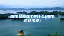 梅花易数9代表什么(梅花断卦法要)