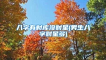 八字有财库没财星(男生八字财星多)