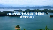 84年属什么生肖(生肖相克的生肖)