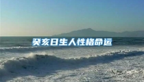 癸亥日生人性格命运