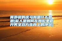 算卦说的虎马狗是什么意思(前人是如何在婚配里避开男女双方生肖上的冲突)