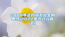 2004年正月初五出生的男孩(2022年才过元宵节)
